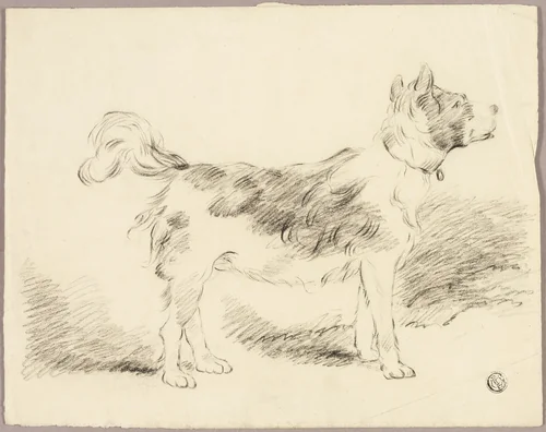 Shepherd Dog by George Morland, drawing, 1783-1804