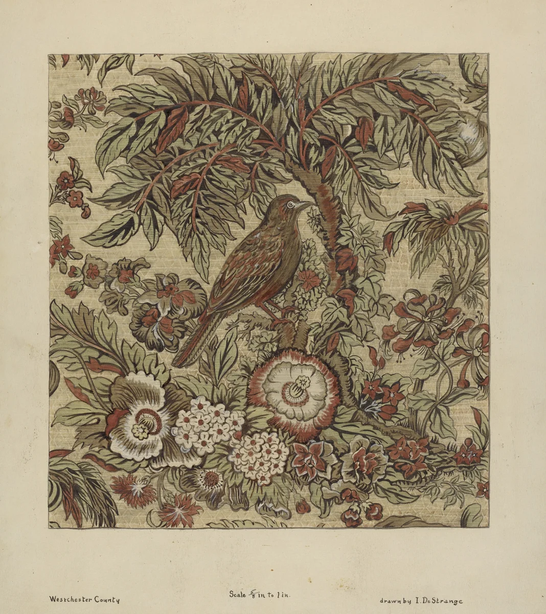 Chintz by Isabelle De Strange, index of american design, 1936