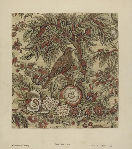 Chintz by Isabelle De Strange, index of american design, 1936