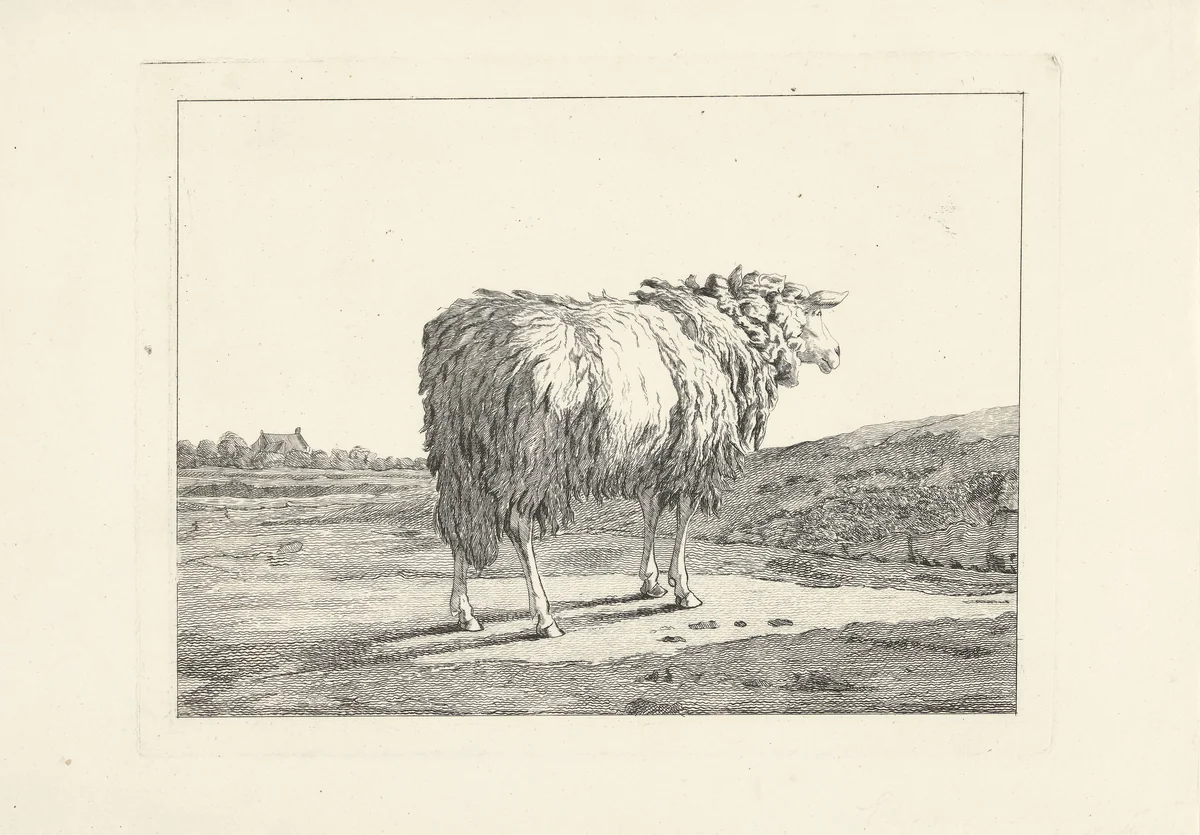Schaap in een landschap by Christiaan Godfried Schutze, print, 1821-1869
