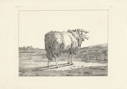 Schaap in een landschap by Christiaan Godfried Schutze, print, 1821-1869