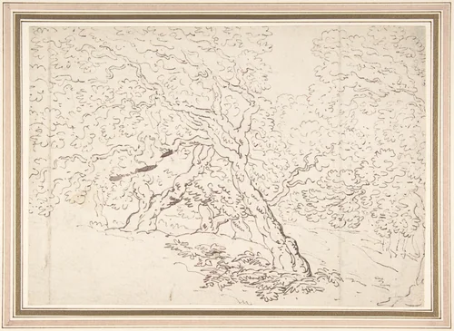Study of trees by Thomas Rowlandson, drawing, 1780-1827