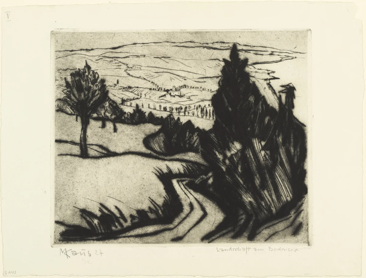 Landscape at Bodensee (Landschaft am Bodensee) by Max Kaus, print, 1927
