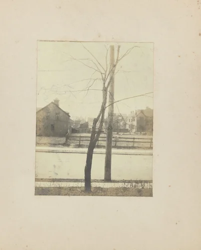 Uitzicht uit het raam van het huis/hotel waar Jan C. Schüller verbleef tijdens de wereldtentoonstelling in St. Louis (Louisiana Purchase Exposition), 1904 by Jan Schüller, photograph, 1905