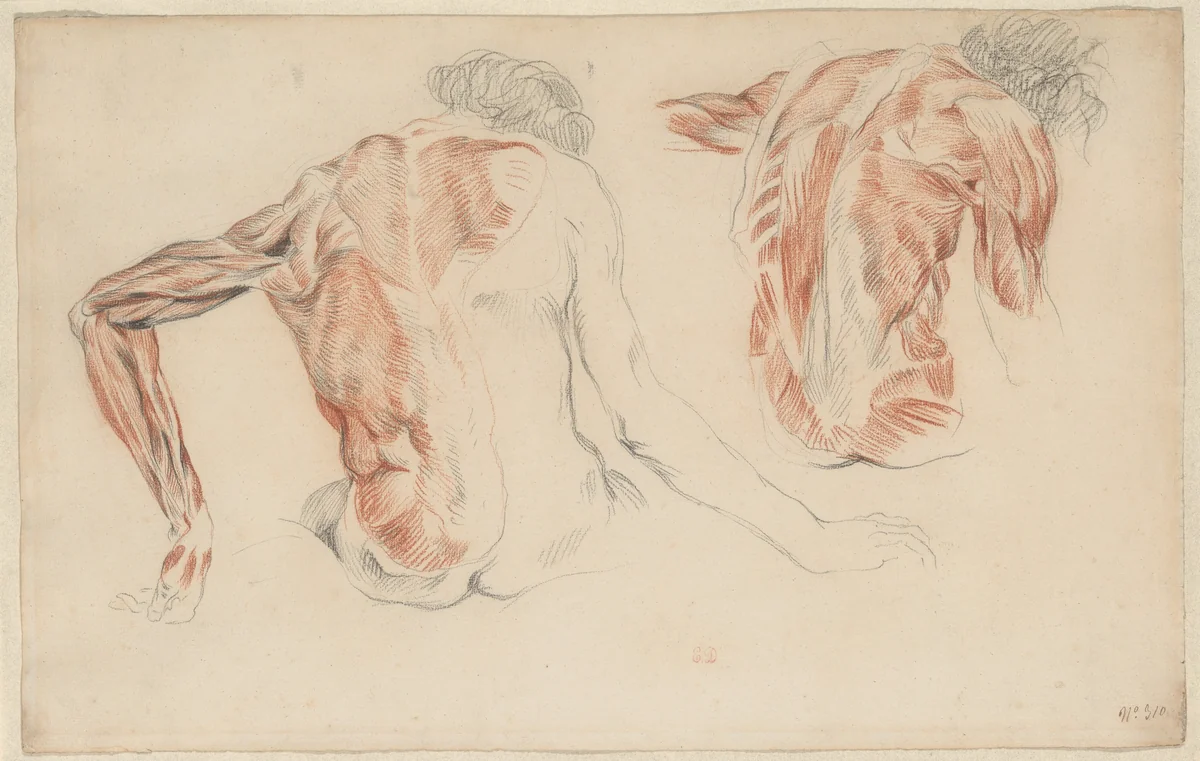 Ecorché: The Backs of Two Seated Figures by Eugène Delacroix, drawing, 1820-1863