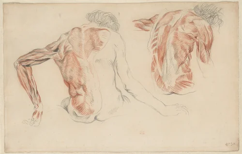 Ecorché: The Backs of Two Seated Figures by Eugène Delacroix, drawing, 1820-1863