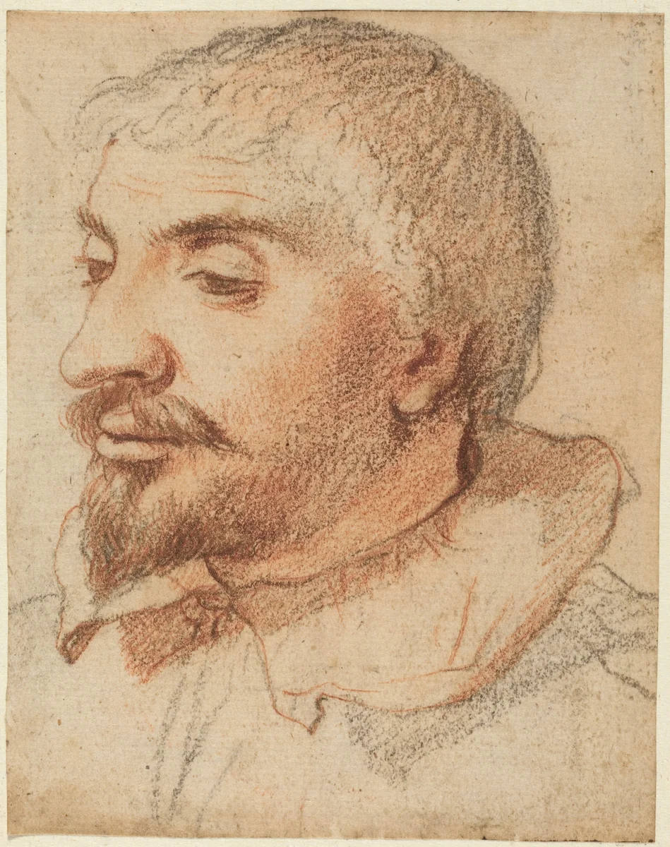 Head of a Man by Italian 17th Century, drawing, 1600