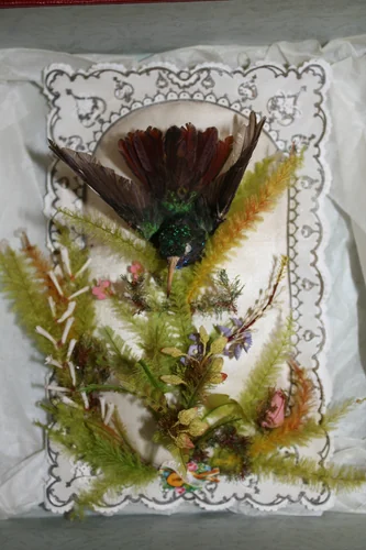 Hummingbird Valentine by Jonathan King, other, 1845-1869
