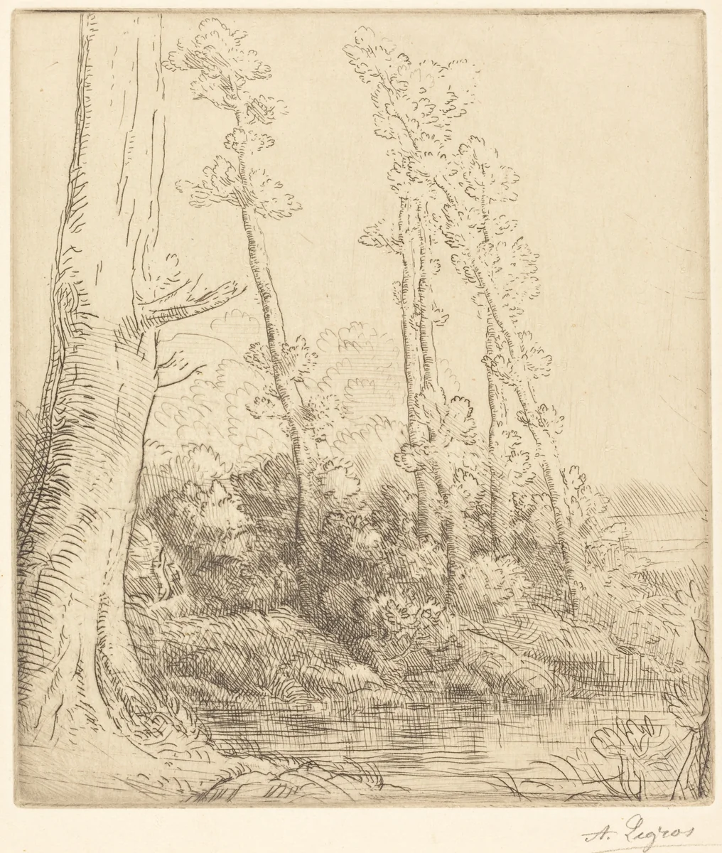 Little Pond (La petite mare) by Alphonse Legros, print, 1837-1911
