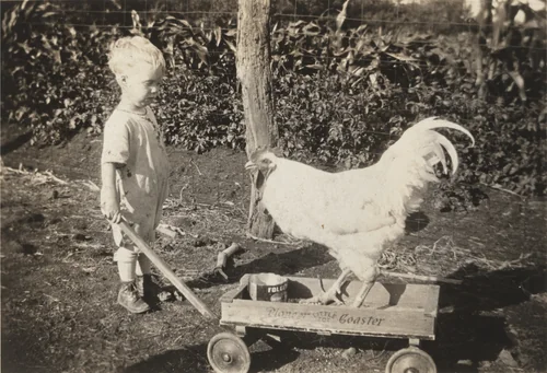 Untitled by Unidentified Photographer, photograph, 1925