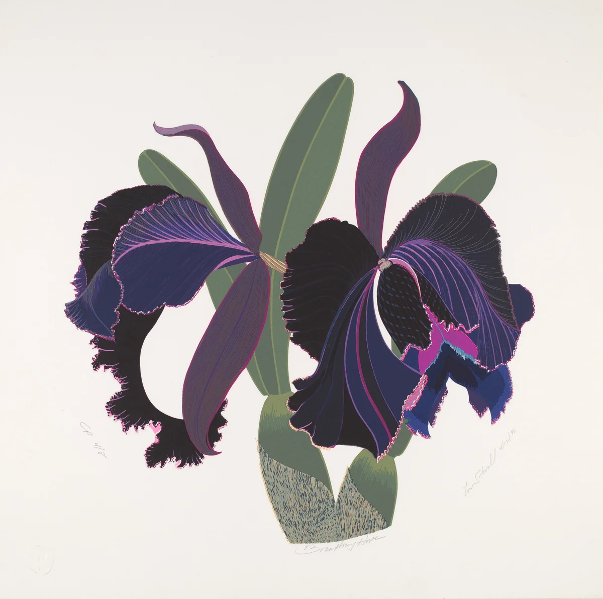 Breathing Hope by Lou Stovall, print, 1996