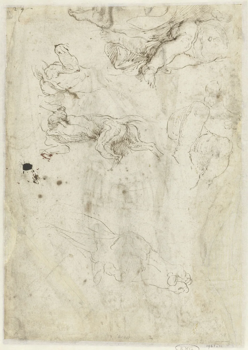 Studies van een hond, een zittend kind en een ezelskop by Girolamo da Carpi, drawing, 1511-1556