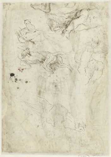 Studies van een hond, een zittend kind en een ezelskop by Girolamo da Carpi, drawing, 1511-1556