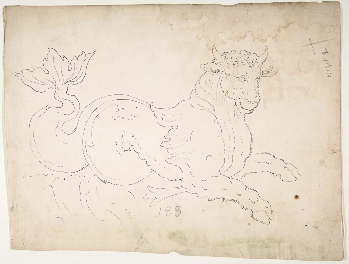 Marine bull, detail (recto) blank (verso) by anonymous, drawing, 1500-1560