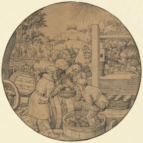 The Wine Harvest (September) by Jörg Breu, drawing, 1521
