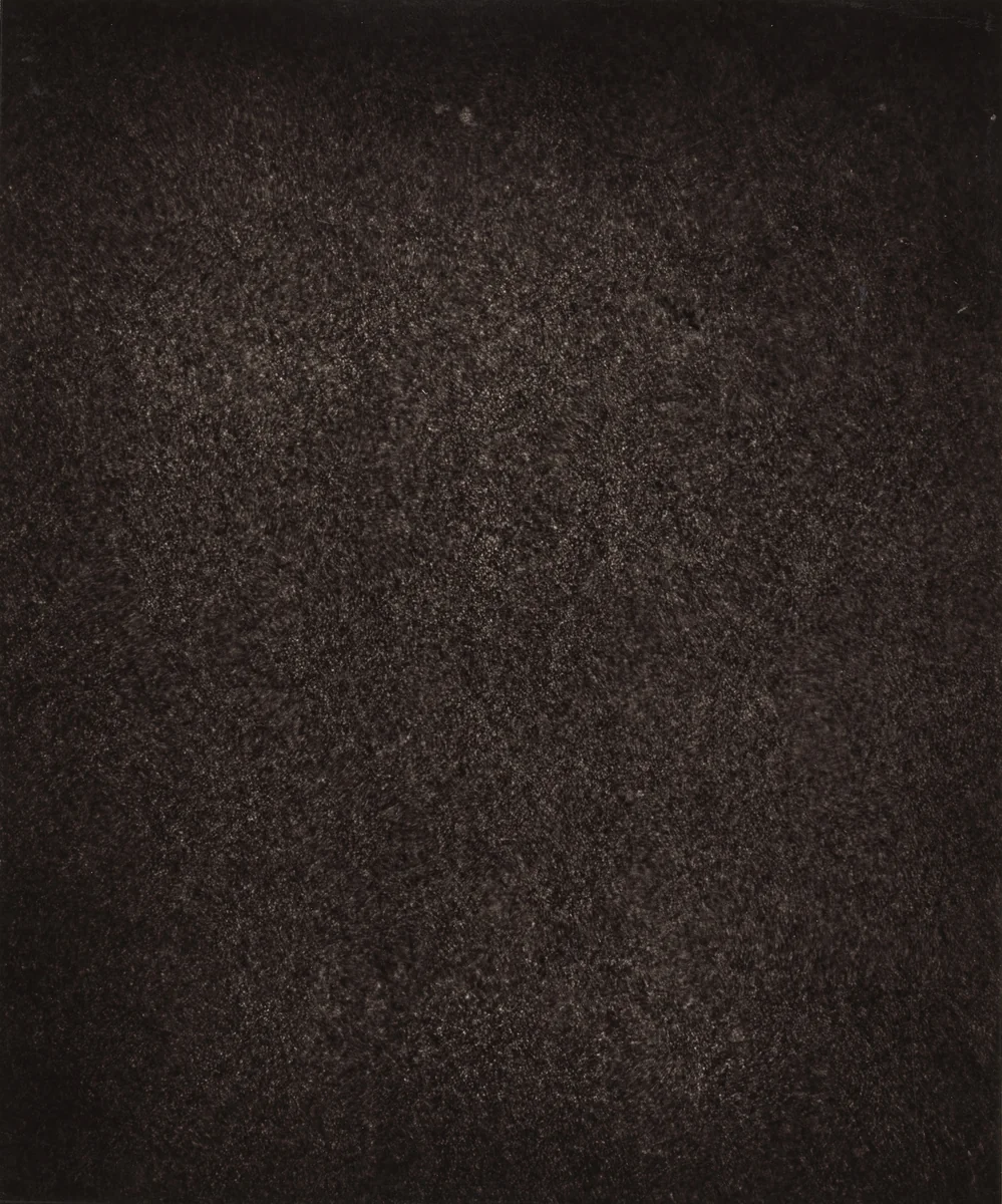 Région Central (Granulations), June 30, 1893, 7h 18m 54s by Jules Janssen, photograph, 1877