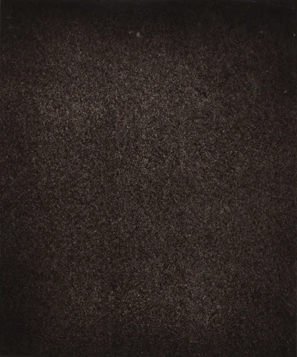 Région Central (Granulations), June 30, 1893, 7h 18m 54s by Jules Janssen, photograph, 1877