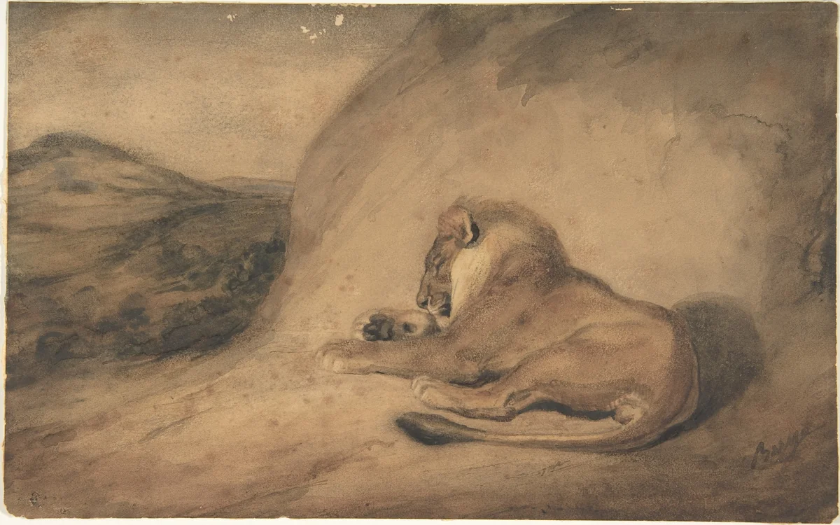 Lion Resting by Antoine-Louis Barye, drawing, 1810-1875