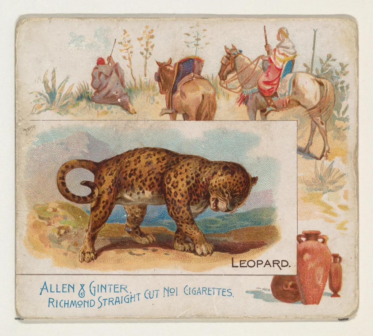 Leopard, from Quadrupeds series (N41) for Allen & Ginter Cigarettes by Allen & Ginter, print, 1890