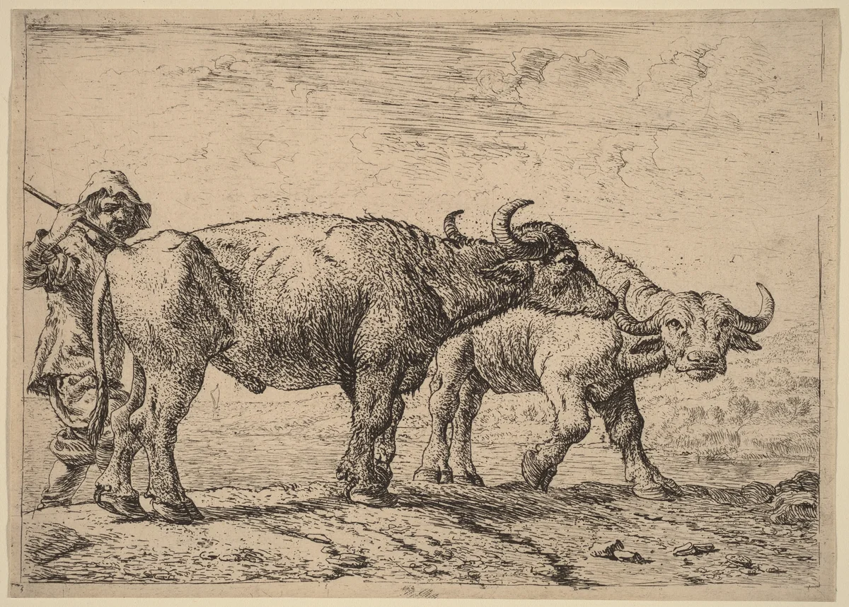 Two Buffaloes and a Herdsman by Pieter van Laer, print, 1592-1642