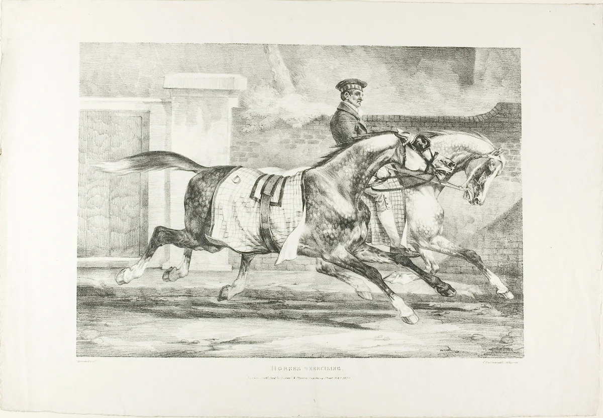 Horses Exercising, plate 6 from Various Subjects Drawn from Life on Stone by Jean Louis André Théodore Géricault, print, 1821