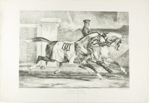 Horses Exercising, plate 6 from Various Subjects Drawn from Life on Stone by Jean Louis André Théodore Géricault, print, 1821