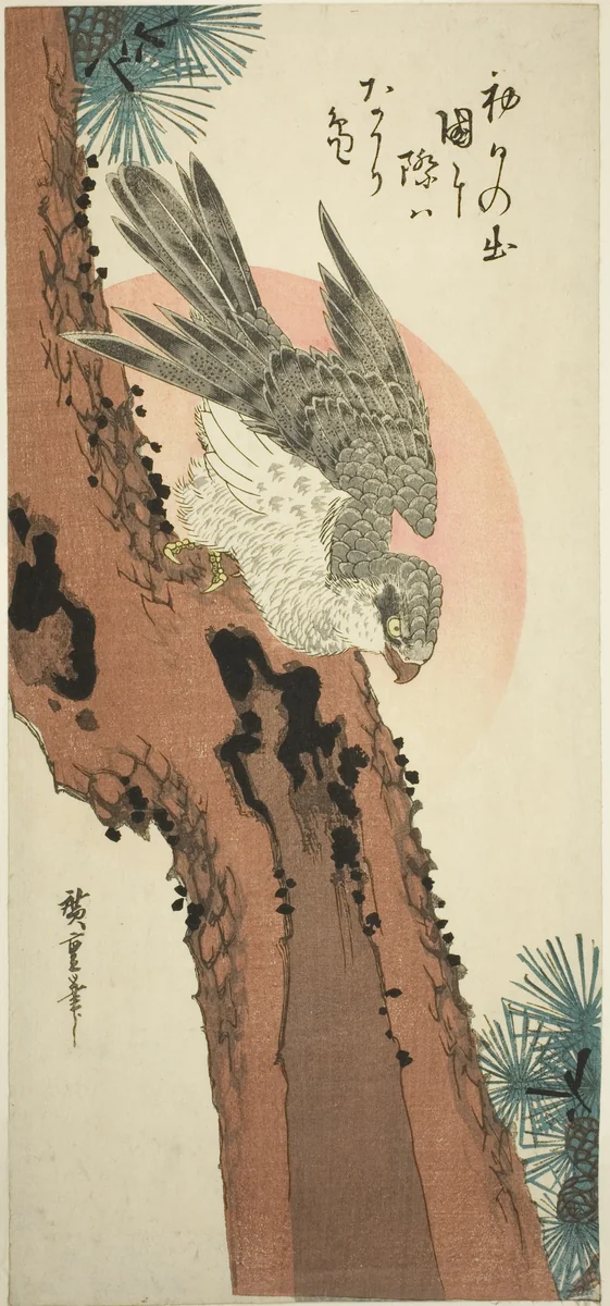 Falcon on a Pine Tree with the Rising Sun by Utagawa Hiroshige (歌川広重), print, 1830-1840
