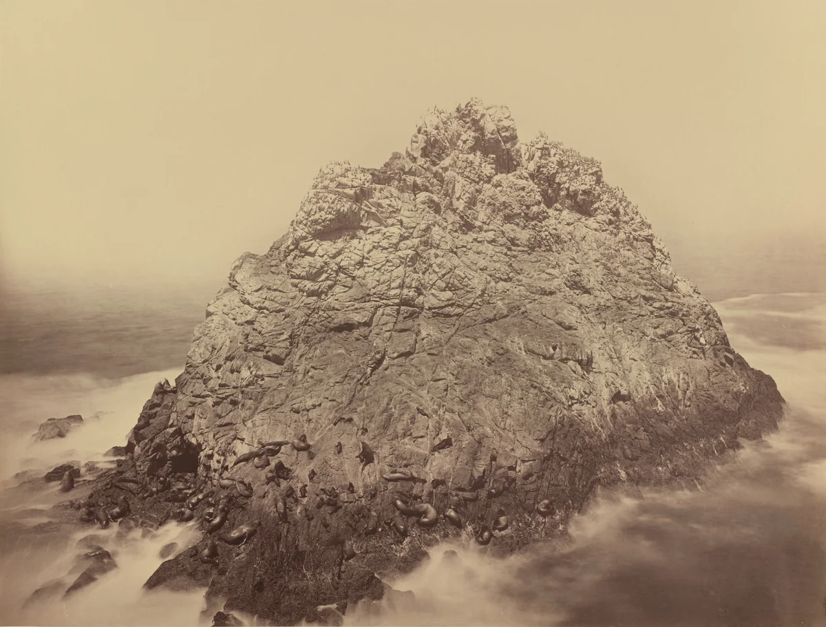 Sugar Loaf Island, Farallons by Carleton E. Watkins, photograph, 1868-1869