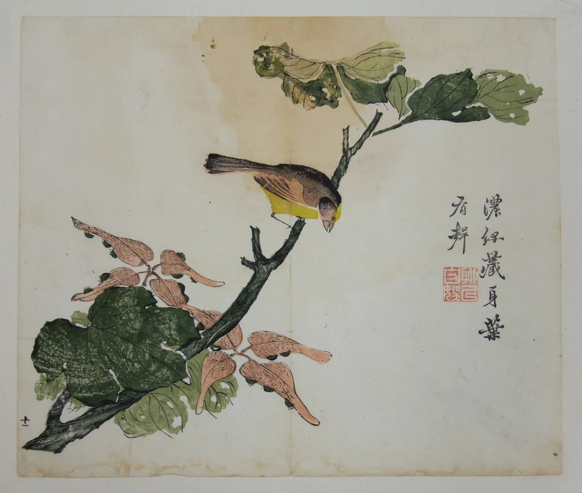 Seeds and Aleurities Cordata (?): Page from The Mustard Seed Garden Manual of Painting (Jieziyuan huazhuan) by Dao Cheng, print, 1782
