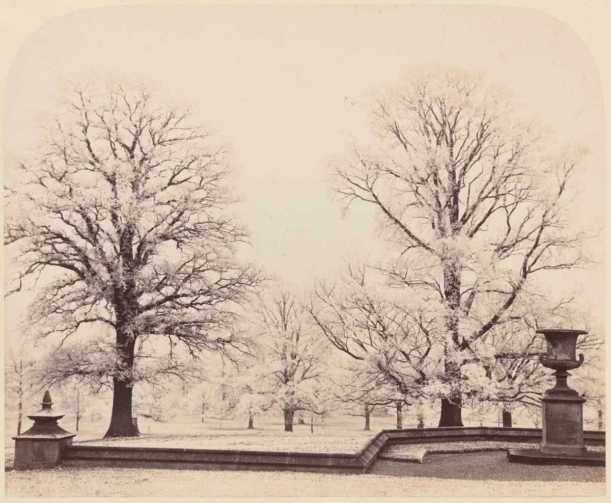 Hoarfrost, a Park Scene by Earl of Caithness, photograph, 1862