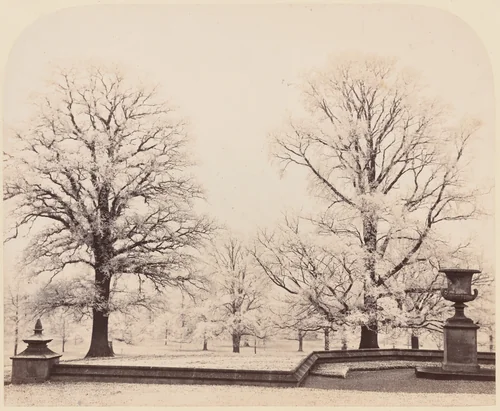 Hoarfrost, a Park Scene by Earl of Caithness, photograph, 1862