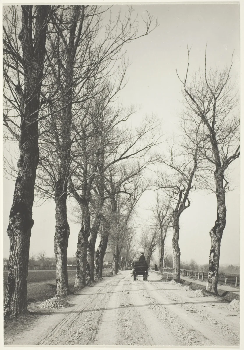 November Days by Alfred Stieglitz, photograph, 1887