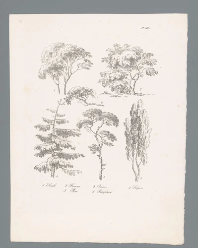 Zes studies van diverse soorten boomtoppen by J. Bernard, print, 1820-1833