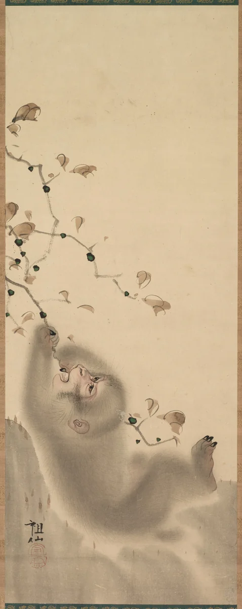 Monkey Hanging on to a Branch by Mori Sosen, painting, 1780