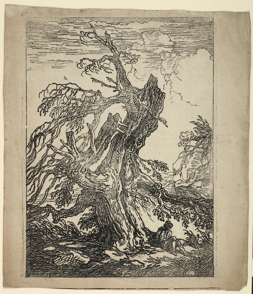 Study of a Tree by Raphael Lamar West, print, 1802