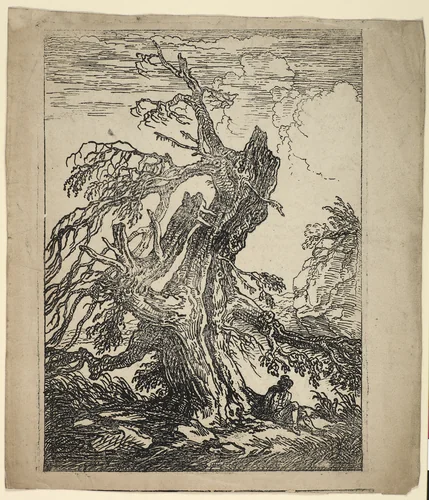 Study of a Tree by Raphael Lamar West, print, 1802