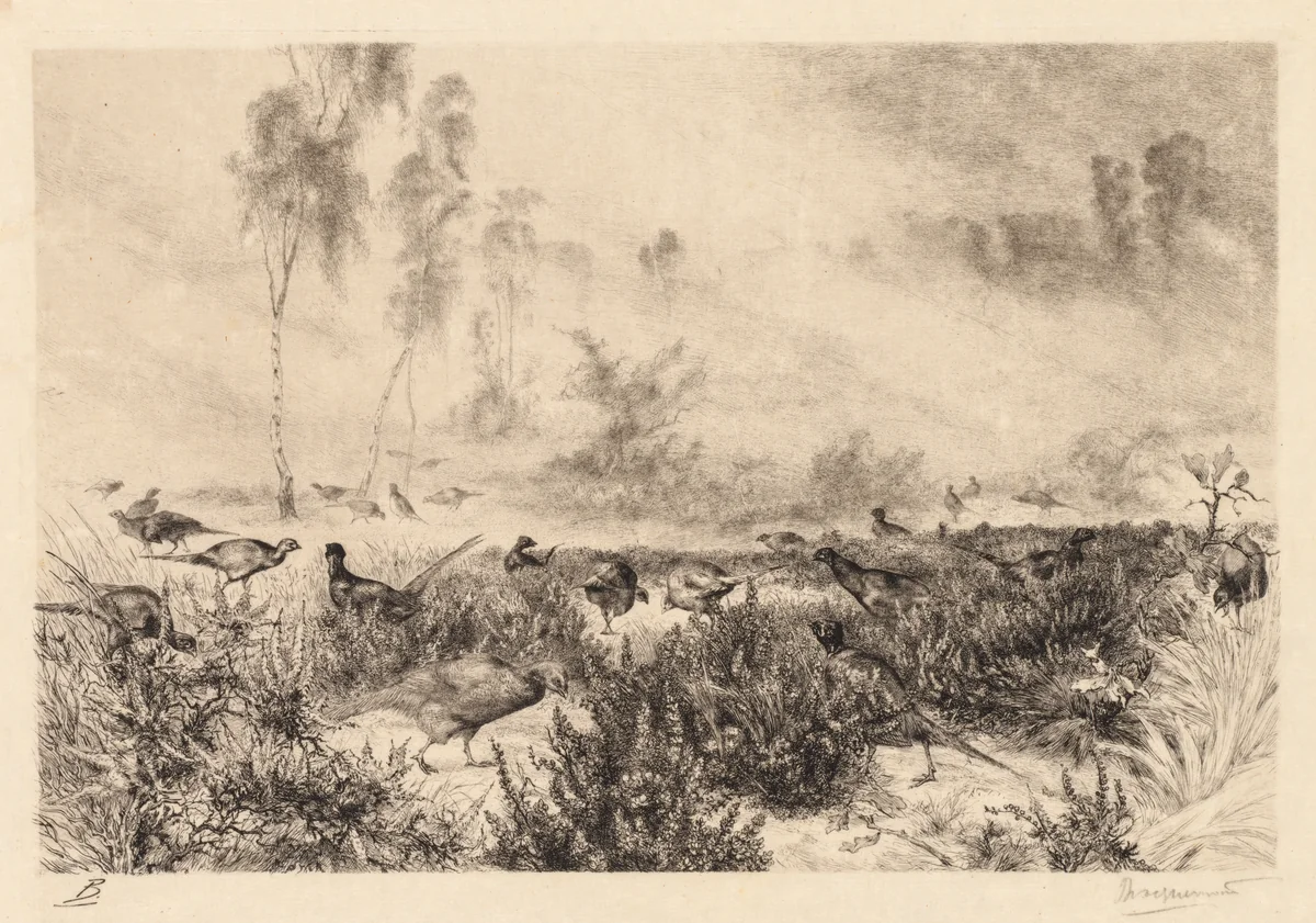 Morning Mists (Brumes de Matin) by Félix Bracquemond, print, 1875-1885