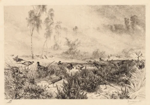 Morning Mists (Brumes de Matin) by Félix Bracquemond, print, 1875-1885