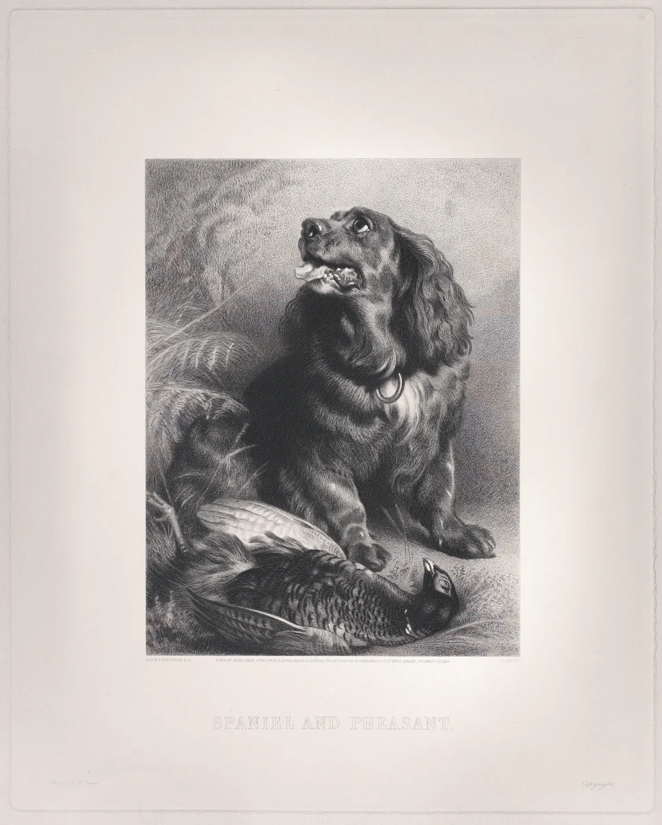 Spaniel and Pheasant by Edwin Henry Landseer, print, 1871