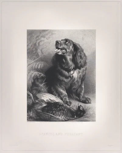 Spaniel and Pheasant by Edwin Henry Landseer, print, 1871