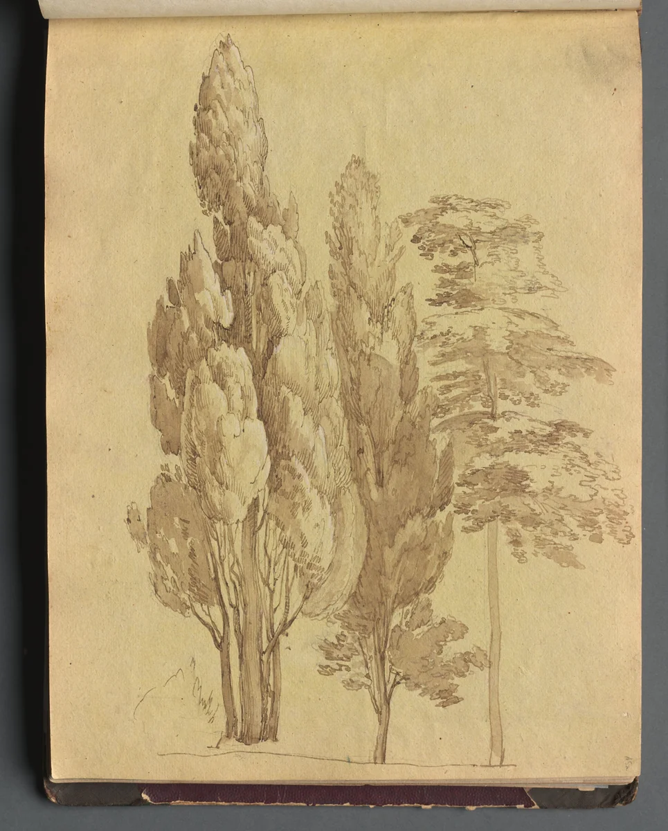 Album with Views of Rome and Surroundings, Landscape Studies, page 15a: Trees by Franz Nadorp, book, 1830-1870
