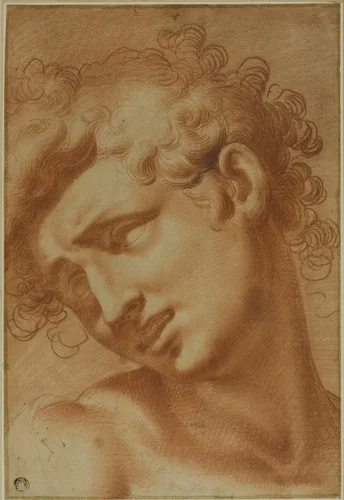 Head of a Youth by Cristofano Roncalli, drawing, 1595-1605