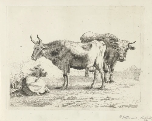 Twee koeien en een kalf by Andries Leijerdorp, print, 1799-1854