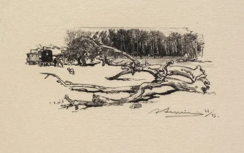 Fontainebleau Forest: Carrefour de l'Epine (La Forêt de Fontainebleau: Carrefour de l'Epine) by Auguste Louis Lepère, book, 1890