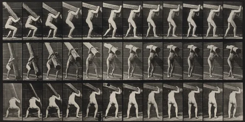 Plate Number 383. Lifting a log on shoulder by Eadweard Muybridge, photograph, 1887