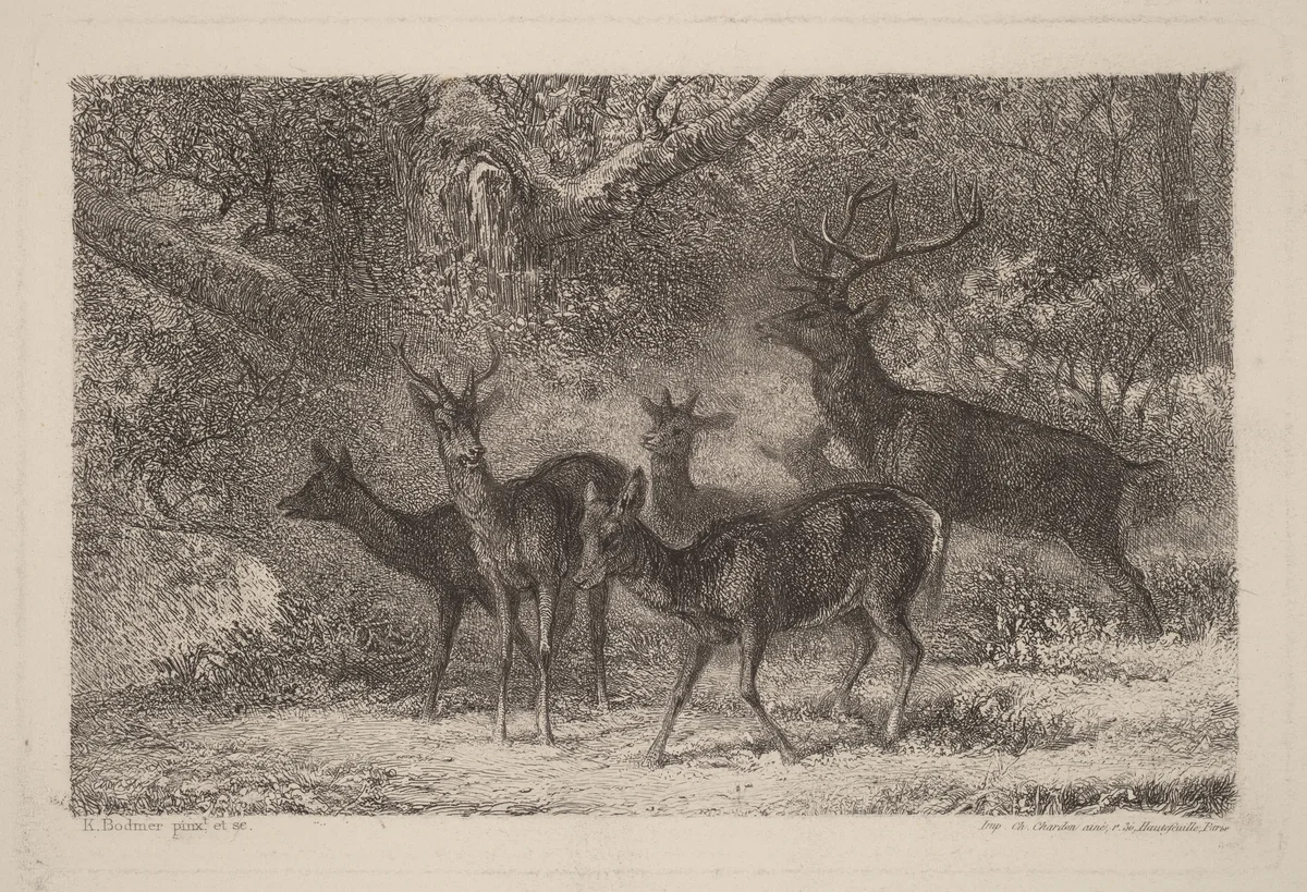 Le harde by Karl Bodmer, print, 1809-1893