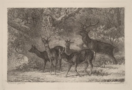 Le harde by Karl Bodmer, print, 1809-1893