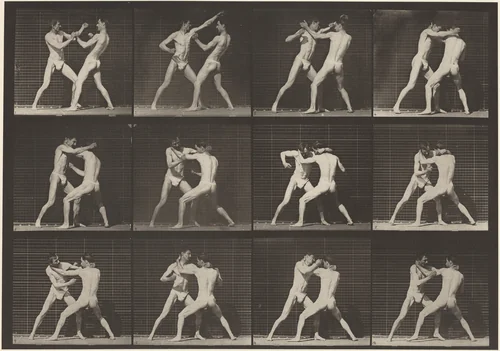 Plate Number 340. Boxing, open hand (shoes) by Eadweard Muybridge, photograph, 1887