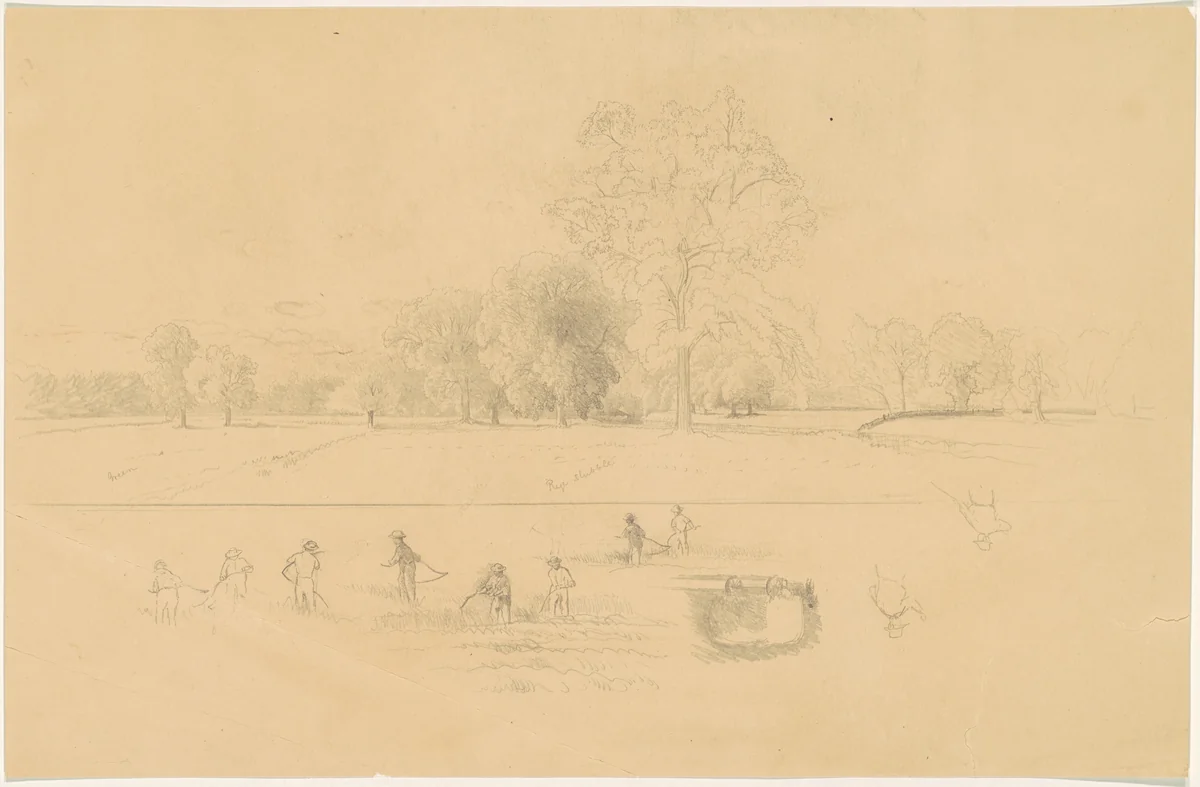 Harvesting, New England by Aaron Draper Shattuck, drawing, 1861-1871