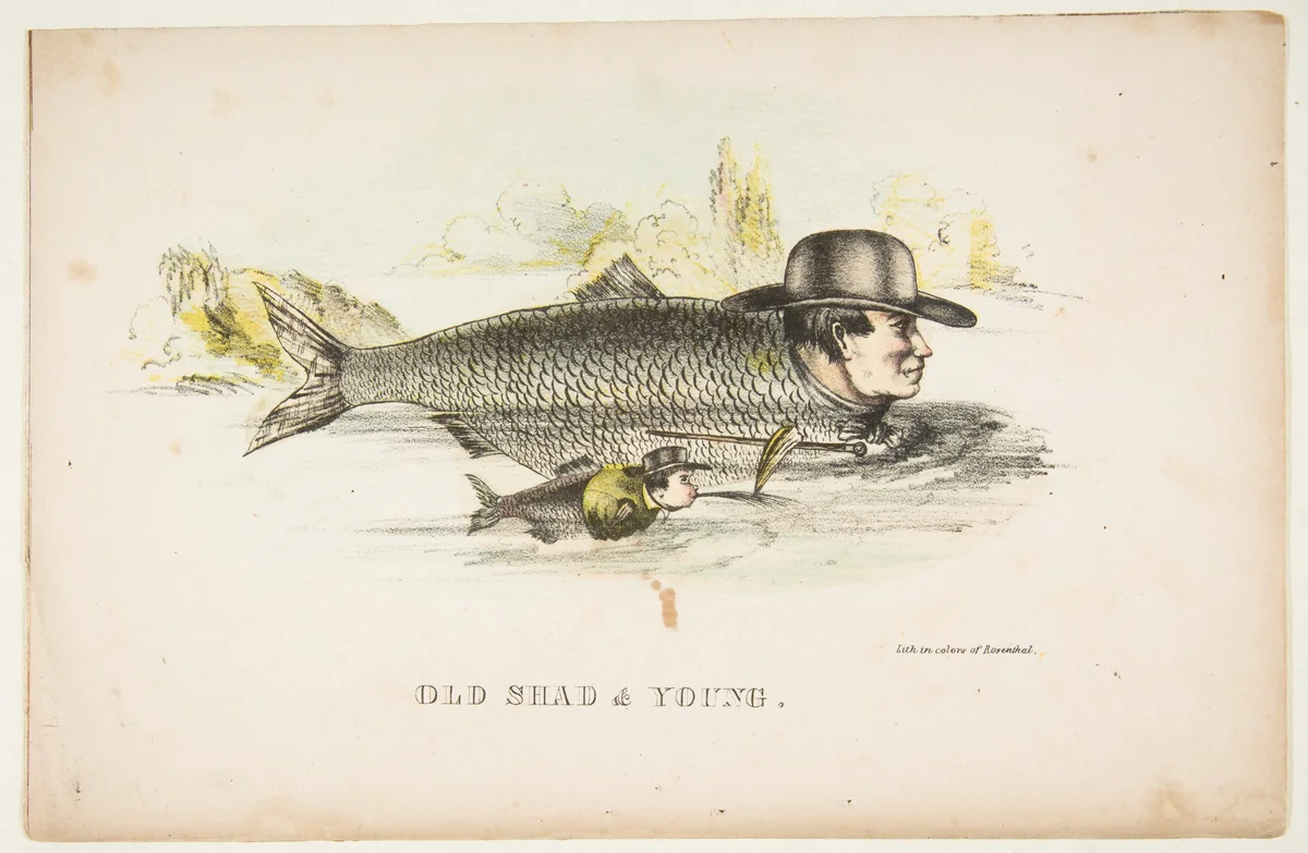 Old Shad & Young, from "The Comic Natural History of the Human Race" by Henry Louis Stephens, print, 1851